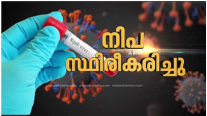കേരളത്തിൽ വീണ്ടും നിപ, കോഴിക്കോട്ട് മരിച്ച രണ്ട് പേർക്ക് സ്ഥിരീകരിച്ചതായി കേന്ദ്ര ആരോഗ്യമന്ത്രി