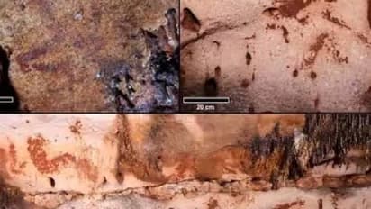 24,000 വർഷങ്ങൾ പഴക്കമുള്ള ഗുഹാചിത്രങ്ങൾ കണ്ടെത്തി, ഇത് ഞെട്ടിക്കുന്ന കണ്ടെത്തലെന്ന് ഗവേഷകര്!