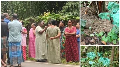 ജനവാസ മേഖലയിൽ ആശുപത്രി മാലിന്യം തള്ളി; നാട്ടുകാര് കണ്ടുപിടിച്ചപ്പോള് തിരിച്ചെടുത്തു, പിഴ ചുമത്തി പഞ്ചായത്ത്
