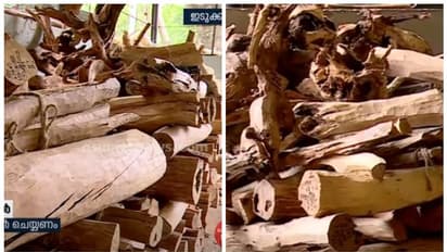 വനംവകുപ്പിന്റെ പോക്കറ്റ് നിറഞ്ഞ് കവിയുമോ, വമ്പൻ പ്രതീക്ഷയോടെ സർക്കാർ; പ്രസിദ്ധമായ മറയൂർ ചന്ദനലേലത്തിന് തുടക്കം