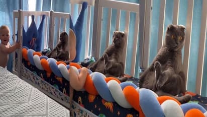 ఈ పిల్లికి ఆస్కార్ అవార్డ్ ఇవ్వొచ్చు.. చిన్నారి దృష్టి మళ్లించడానికి ఎంత క్యూట్ గా చేసిందో చూడండి....