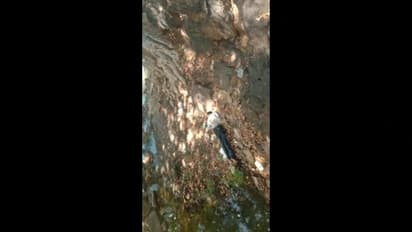 ஒகேனக்கல் காவிரி கரையோரம் இளம் காதல் ஜோடி விபரீத முடிவு; காதலன் பலி, பள்ளி மாணவி கவலைக்கிடம்