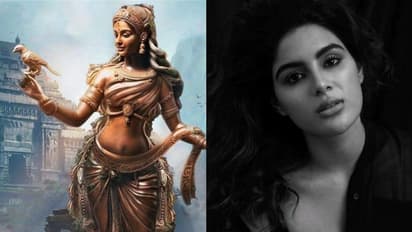 'ഇതാര് അപ്സരസോ?', സംയുക്തയുടെ പുതിയ ഫോട്ടോ കണ്ട് ആരാധകര്