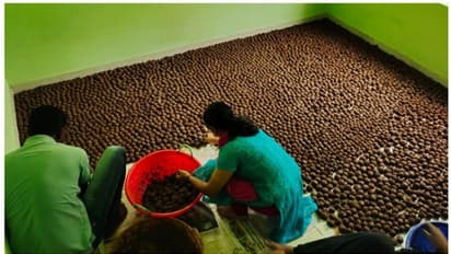 ഇരുപതിനായിരം 'വിത്തുരുള'കള്‍;  കേരളത്തിലെ കാടുകളില്‍ ഇനി ഹുസൈന്‍റെ ഓര്‍മ്മകള്‍ തണല്‍ വിരിക്കും ! 