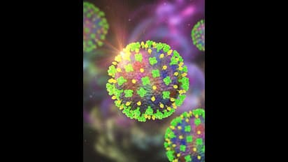 ಕೇರಳದಲ್ಲಿ ಮಾರಣಾಂತಿಕ ನಿಪಾ ವೈರಸ್: ಕರ್ನಾಟಕದಲ್ಲೂ ಕಟ್ಟೆಚ್ಚರ