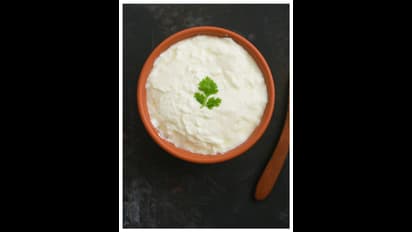 குளிர்காலத்தில் தயிர் சாப்பிடலாமா?  கட்டுகதைகளும், உண்மையும்..!!