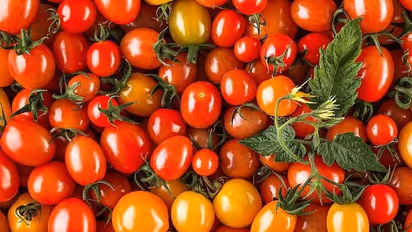 Health Hazards: 5 disastrous side effects of eating too many Tomatoes daily