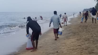 എന്നത്തേയും പോലെ വലയൊന്ന് വീശിയതാണ്! പക്ഷെ ഇത്തവണ പൊളിച്ചു... തൃശൂരിൽ തീരങ്ങളിൽ കോളടിച്ചു!