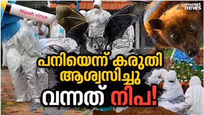 ആരോഗ്യമന്ത്രി കെകെ ശൈലജയുടെ ഫോണിലേക്ക് 2018 ൽ എത്തിയ ഒരു കോൾ; ശേഷം ആശങ്ക, ഭീതി! അന്ന് ജയിച്ചു, ഇന്നും ജയിക്കും