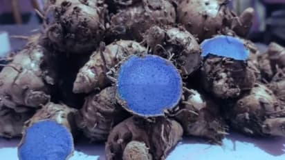 കറുത്ത മഞ്ഞള്‍ ഡയറ്റില്‍ ഉള്‍പ്പെടുത്തൂ, ഈ രോഗങ്ങളെ തടയാം... 