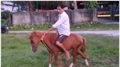 ഹെല്മറ്റ് ധരിക്കാത്തതിന് പോലീസിന്റെ വക പിഴ; പിന്നാലെ സ്കൂട്ടര് വിറ്റ് കുതിരയെ വാങ്ങി യുവാവ് !