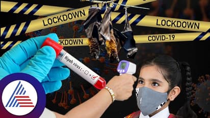 ಕೇರಳದಲ್ಲಿ ಡೇಂಜರಸ್ ನಿಫಾ ಆರ್ಭಟ, ಶಾಲಾ-ಕಾಲೇಜಿಗೆ ರಜೆ; ಲಾಕ್ಡೌನ್ ಘೋಷಿಸುತ್ತಾ ಸರ್ಕಾರ?