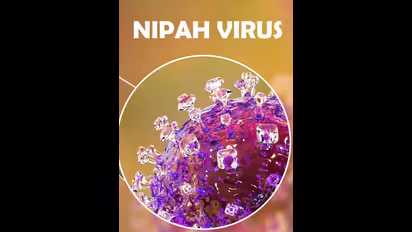 Nipah outbreak: Karnataka intensifies vehicle checking on borders from Kerala's three districts; Read