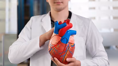 Understanding angioplasty and stent placement: Here's what you need to know