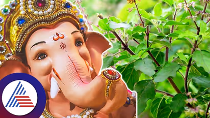  ಗಣೇಶನನ್ನು ಪೂಜಿಸುವಾಗ ಈ ತಪ್ಪನ್ನೆಲ್ಲಾ ಮಾಡಲೇಬೇಡಿ, ಅಷ್ಟಕ್ಕೂ ಅವನಿಗೇಕೆ ತುಳಸಿ ವರ್ಜ್ಯ?