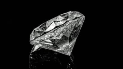 പിറന്നാളാഘോഷിക്കാൻ പാർക്കിൽ പോയി, ഏഴുവയസുകാരിക്ക് കിട്ടിയത് 2.95 കാരറ്റ് വജ്രം