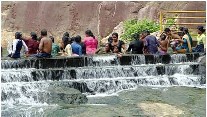 നല്ല കിടിലൻ റീൽസിനുള്ള വകയുണ്ടേ..! വെറും 20 രൂപയ്ക്ക് കിടിലൻ ഒരു സ്പോട്ട് കാണാം, വൻ ഹിറ്റായി  മീൻപിടിപ്പാറ