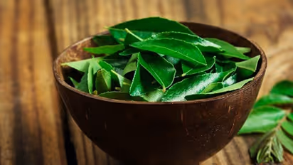 Curry Leaves
