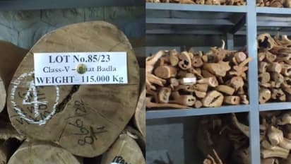 മറയൂര് ചന്ദന ലേലം: 37 കോടിയുടെ വില്പ്പന, ഏറ്റവും കൂടുതല് ചന്ദനം വാങ്ങിയത് കര്ണാടക സോപ്സ്