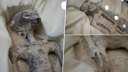 ಮೆಕ್ಸಿಕೋದಲ್ಲಿ ಪತ್ತೆಯಾದ ಏಲಿಯೆನ್ಸ್‌ ಅವಶೇಷದ ನಿಜರೂಪ ಬಹಿರಂಗಪಡಿಸಿದ ಎಲಾನ್ ಮಸ್ಕ್‌!