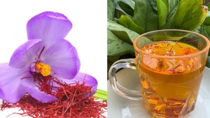 കുങ്കുമപ്പൂവ് ചേര്ത്ത ചായ കുടിക്കൂ; അറിയാം ഗുണങ്ങള്...