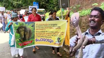'അരിക്കൊമ്പൻ അവർകളെ ചിന്നക്കനാലിൽ കൊണ്ടുവരണം!', ഇടുക്കിയിലെ ധർണയിൽ ട്രോളും പിന്തുണയും!