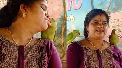 എന്തൊരു വാത്സല്യമാണ് ആ വാക്കുകളിൽ ! ഒന്നു കാണാം ആർക്കും ഉന്മേഷം നൽകുന്ന കിന്നാരക്കാഴ്ച!