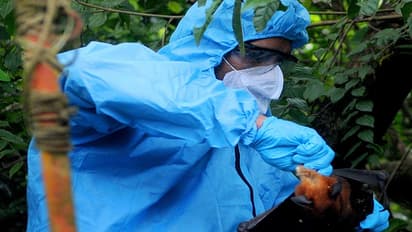 Why is Nipah virus recurring in Kerala?
