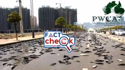 ആകാശത്ത് നിന്ന് പെയ്തിറങ്ങി നൂറുകണക്കിന് മീനുകള്, ലോകത്തെ അതിശയിപ്പിച്ച് മത്സ്യമഴയോ- Fact Check