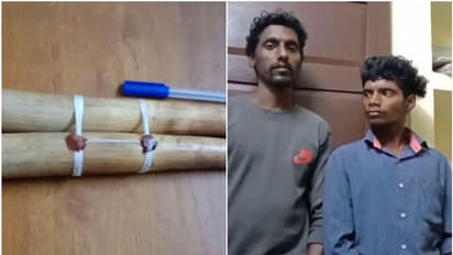 വനംവകുപ്പിന് രഹസ്യ വിവരം, വ്യാപക തിരച്ചിൽ; പരുന്തും പാറയിൽ ആനക്കൊമ്പുകളുമായി രണ്ടു പേർ പിടിയിൽ