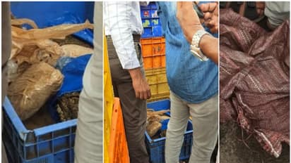 പുറത്ത് നിന്ന് നോക്കിയാല് വെറുമൊരു മീൻ വണ്ടി! അകത്ത് ഒളിപ്പിച്ച വലിയ രഹസ്യം പുറത്തായി, ഞെട്ടി പൊലീസും