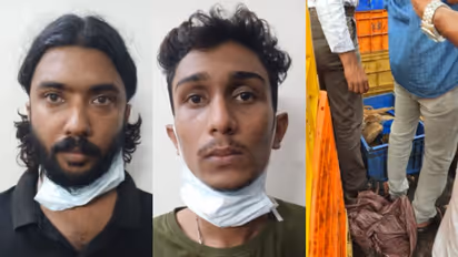 മീൻ കയറ്റുന്ന വാൻ, ഉള്ളിൽ 50 മീൻ പെട്ടികൾക്കിടയിൽ 29 കിലോ കഞ്ചാവ്, വില 10 ലക്ഷം; മലപ്പുറം സ്വദേശികൾ അറസ്റ്റിൽ