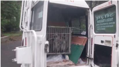 ചാടിപ്പോയി തിരിച്ച് വന്ന കഥയൊക്കെ പറയാൻ കൂട്ടായി! ഹരിയാനയിൽ നിന്ന് രണ്ട് സൂപ്പർ അതിഥികൾ തലസ്ഥാനത്തെത്തി