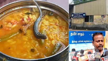 அம்மா உணவகத்தில் அதிர்ச்சி! சாம்பார் சாதத்தில் அரணை.. சாப்பிட்டவரின் நிலை என்ன?