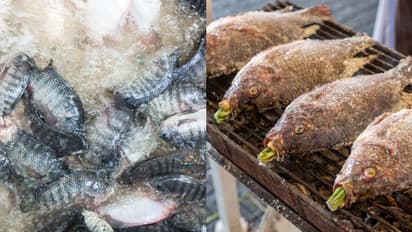 തിലോപ്പിയ കഴിക്കാന്‍ കൊതി, കുക്കിംഗില്‍ പാളി, ജീവൻ രക്ഷിക്കാന്‍ 40 കാരിയുടെ കൈകാലുകള്‍ മുറിച്ച് നീക്കി