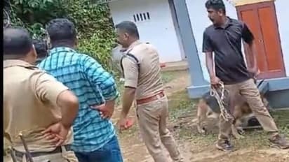 പള്ളിയിലെ കാണിക്കവഞ്ചി, ആശ്രമത്തിലെ ചന്ദനമരം, നൂറനാട്ട് മോഷ്ടാക്കള്ക്കായി പൊലീസ് അന്വേഷണം ഊർജ്ജിതം