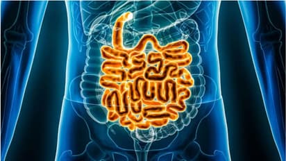 ഭക്ഷണം കഴിക്കാതിരുന്നാല്‍ ചെറുകുടൽ ചുരുങ്ങുമോ?  ശരിക്കും ചെറുകുടലിന്‍റെ നീളം എത്ര?