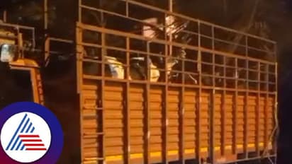 ಅಕ್ರಮ ಗೋವು ಸಾಗಾಟ; ಶ್ರೀರಾಮಸೇನೆ ಕಾರ್ಯಕರ್ತರಿಂದ 11 ಗೋವುಗಳ ರಕ್ಷಣೆ 