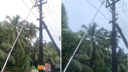 വലിഞ്ഞുകയറി മുകളിലെത്തിയപ്പോൾ പണികിട്ടി! മലപ്പുറം താനൂരിൽ പോസ്റ്റിൽ കയറിയ പെരുമ്പാമ്പ് ഷോക്കേറ്റ് ചത്തു