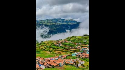 ಊಟಿಯಲ್ಲಿ ಮತ್ತೆ ಶೂನ್ಯ ಸಮೀಪಕ್ಕೆ ತಾಪಮಾನ: ಉತ್ತರ ಭಾರತದಲ್ಲೂ ಭಾರಿ ಚಳಿ