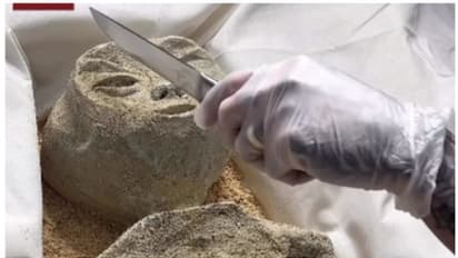 'ഏലിയന്‍ മമ്മികളെ തിരിച്ചറിഞ്ഞു'; വീഡിയോ കണ്ട് ലോകം ഞെട്ടി ! 