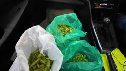 ബം​ഗളൂരുവിലെ ട്രാഫിക്, വൈറലായി ചിത്രം, ഇത്തവണ പച്ചക്കറി വൃത്തിയാക്കുന്നത്