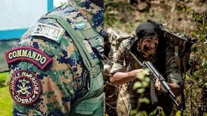 ಅನಂತ್ನಾಗ್ ಎನ್ಕೌಂಟರ್ ಬೆನ್ನಲ್ಲೇ ಸರ್ಕಾರದ ಬಿಗ್ ನಿರ್ಧಾರ, ಕಾಶ್ಮೀರಕ್ಕೂ ಇನ್ನು ಕೋಬ್ರಾ ಕಾವಲು!