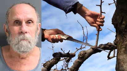 വേലിക്കരികിലെ മരത്തിന്റെ ചില്ല മുറിച്ച് അയല്വാസി, വെടിവച്ചുകൊന്ന് 78 കാരന്