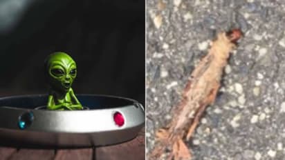 മഴയ്ക്ക് ശേഷം കണ്ടെത്തിയ, നിലത്തിഴയുന്ന രൂപത്തിലുള്ള ആ വൈറൽ ഓസ്ട്രേലിയൻ മമ്മി, വീണ്ടും ചർച്ച