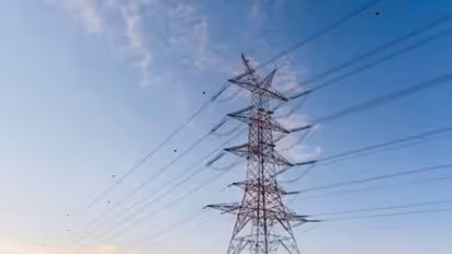 ಉತ್ತರ ಕನ್ನಡ: ವಿದ್ಯುತ್ ಲೈನ್ ಕಿತ್ತು ಹಾಕಿದ ರೈತನ ವಿರುದ್ಧ ಕ್ರಮಕ್ಕೆ ಮುಂದಾದ ಹೆಸ್ಕಾಂ