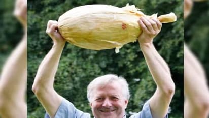 കർഷകന് ലോട്ടറി! വിളവെടുത്തപ്പോൾ കിട്ടിയ ഉള്ളി കണ്ട് ഞെട്ടി, ഭീമൻ ഉള്ളിക്ക് ഭാരം 8.97 കിലോഗ്രാം