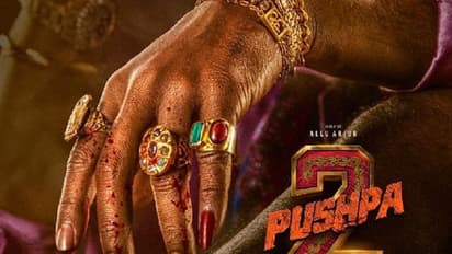 Pushpa 2: Allu Arjun's NEXT to release on THIS date; is the movie patriotic?