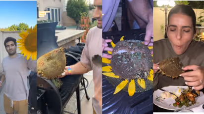 സൂര്യകാന്തിപ്പൂക്കൾ ഇങ്ങനെ കഴിക്കുന്നത് നിങ്ങള് കണ്ടിട്ടുണ്ടോ? വൈറലായി വീഡിയോ...