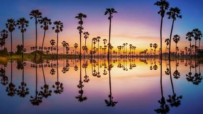 കുട്ടികളെ തട്ടിക്കൊണ്ട് ഈന്തപ്പന മുകളിലേക്ക് കയറുന്ന 'വെവെ ഗോംബെല്‍'; ഇന്ത്യോനേഷ്യയിലെ ചില അന്ധവിശ്വാസങ്ങള്‍!